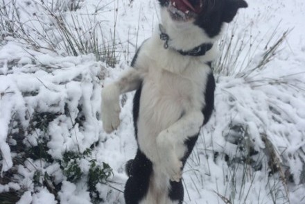 Arwen may be happy jumping in the snow of The Lakes but many prefer the hot and sunny climes of Sri Lanka and Maldives!