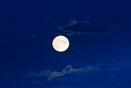 A rare super blue moon lighting up last night's sky (courtesy of Steve Brown/DC Thomson) 