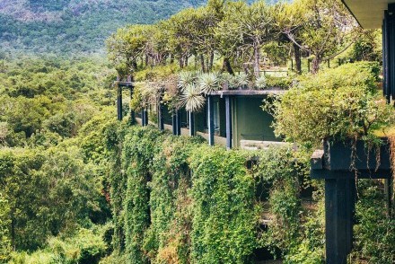 Beneath the undergrowth, Heritance Kandalama, Dambulla, Sri Lanka