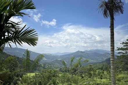 View from The Pekoe Trail (Stage 1) near Kandy, Sri Lanka