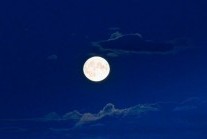 A rare super blue moon lighting up last night's sky (courtesy of Steve Brown/DC Thomson) 