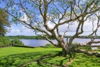 Geoffrey Bawa's Lunuganga, Bentota, Sri Lanka