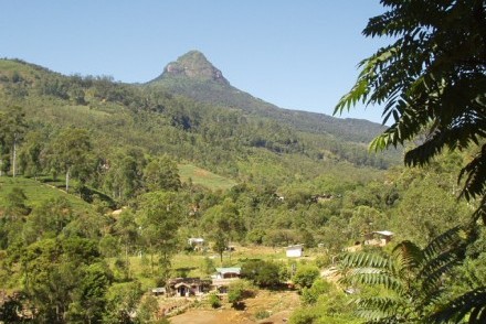 Adam's Peak from Dalhousie at the beginning of the pilgrimage trail, Sri Lanka