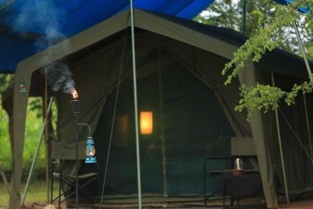 Tent frontage, Big Game Camp, Sri Lanka