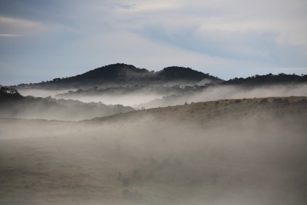 Misty mountains at dawn, Horton Plains, Sri Lanka