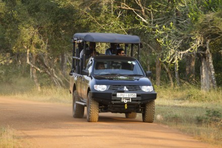 Mahoora safari jeep in Wilpattu NP, Sri Lanka