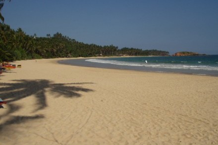 Palm-fringed sandy beach and crescent-shaped bay, Mirissa, Sri Lanka