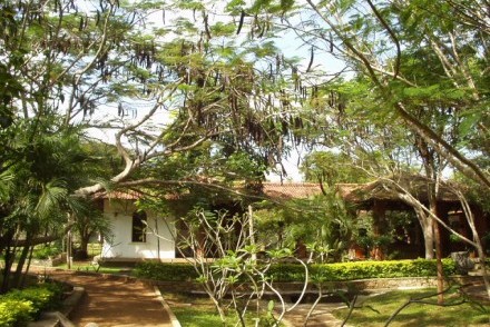 Standard Room seen through Tamarind trees, Palm Garden Village Hotel, Anuradhapura, Sri Lanka