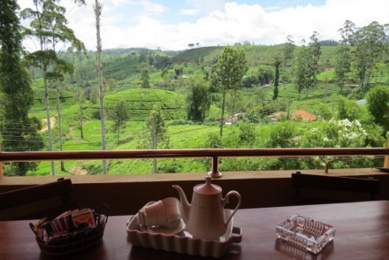 View over neighbouring tea estates from Tea Hills Bungalow, Hatton, Sri Lanka