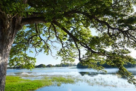 Tranquil Tissa Wewa lake from EKHO Safari Tissa, Tissamaharama, Sri Lanka