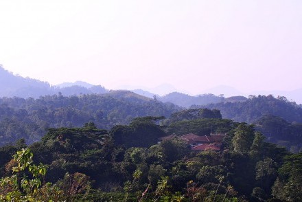 Tree of Life Nature Resort, Yahalathenna, Kandy, Sri Lanka