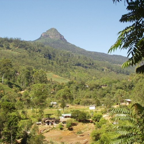 Adam's Peak or Sri Pada, one of the island's principal pilgrimage sites, Sri Lanka