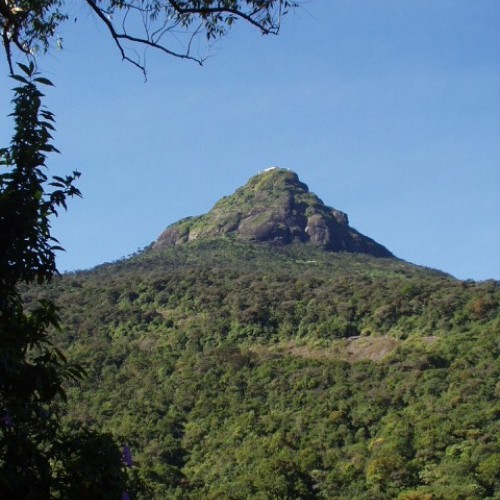 View of Adam's Peak from Dalhousie, the start of the pilgrimage trail to Sri Pada, Sri Lanka