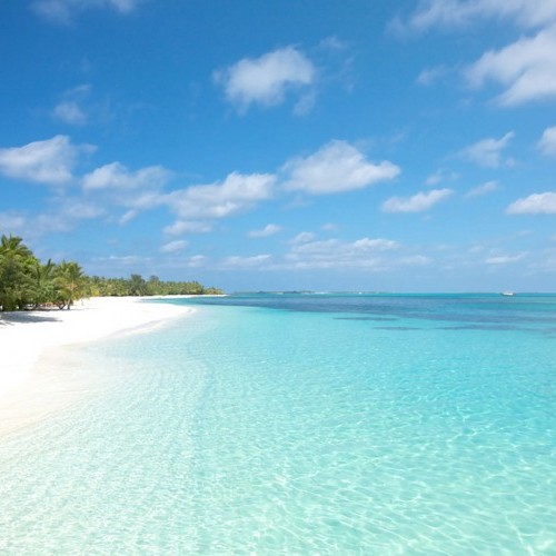 Turquoise waters and coral white sand are characteristics of atolls in Maldives
