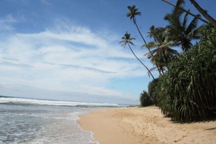 Palm-fringed, golden sandy beach, Sri Lanka