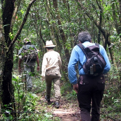 Wandering through a rainforest, Sri Lanka