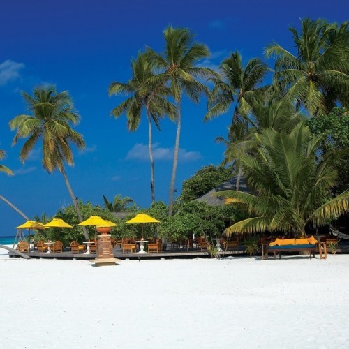 Beach and palms, Angsana Ihuru, Maldives