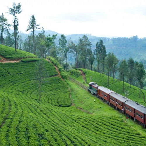 Scenic train journey through the Hill Country, Sri Lanka